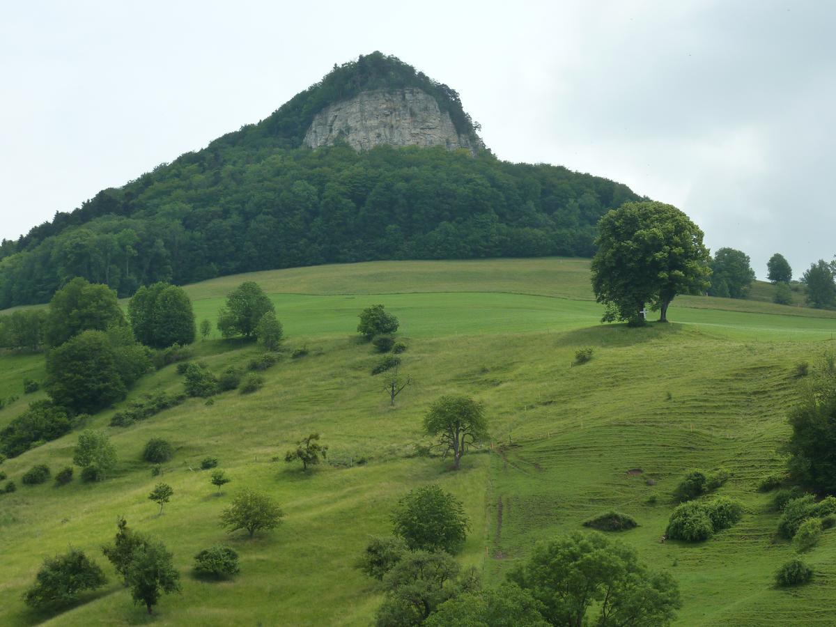 Gasthof Loewen Wisen Exteriör bild